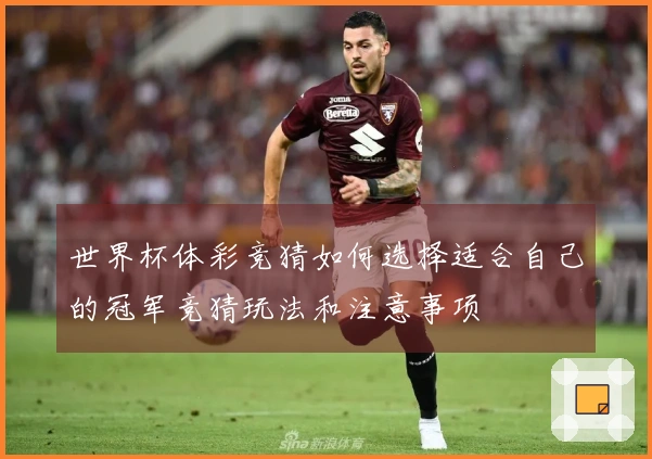 世界杯体彩竞猜如何选择适合自己的冠军竞猜玩法和注意事项