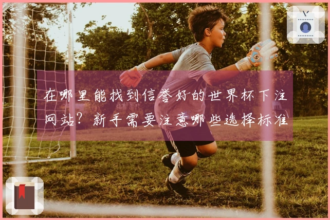 在哪里能找到信誉好的世界杯下注网站？新手需要注意哪些选择标准？
