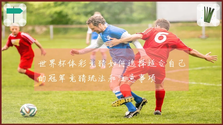 世界杯体彩竞猜如何选择适合自己的冠军竞猜玩法和注意事项