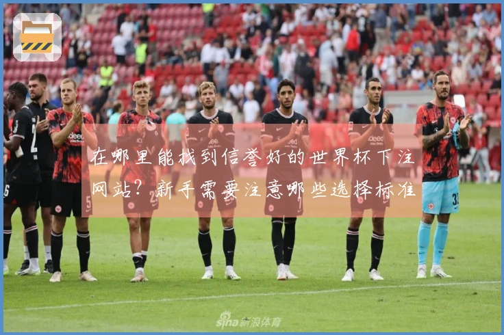在哪里能找到信誉好的世界杯下注网站？新手需要注意哪些选择标准？