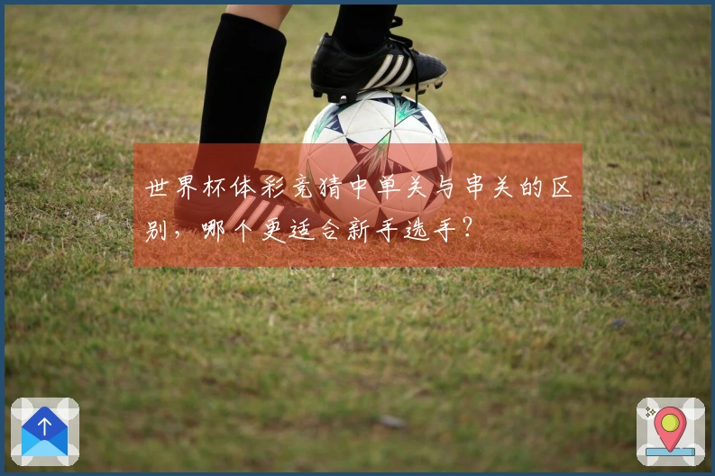 世界杯体彩竞猜中单关与串关的区别，哪个更适合新手选手？